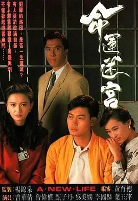 《命运迷宫普通话版》：一场关于救赎与希望的草根史诗，在迷雾中寻找人生出口